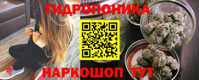 индика Ливны
