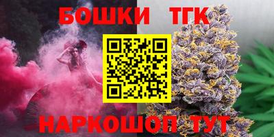 индика Ливны
