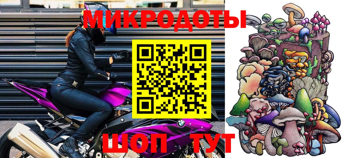 Галлюциногенные грибы Psilocybine cubensis Арсеньев